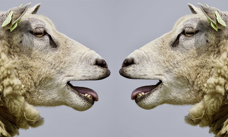 Veiled Communications